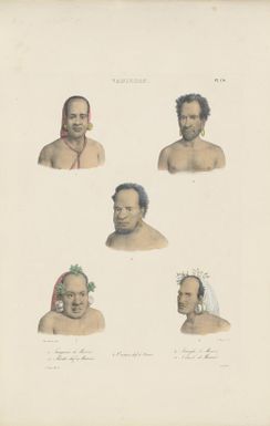 [Portraits of five inhabitants of Vanikoro] / de Sainson pinx.; A. Maurin del