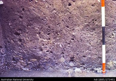 SAD/III, North profile of IIIb/IIId showing wood