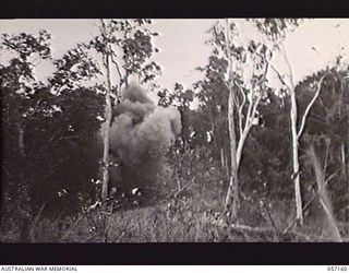 SOGERI VALLEY, NEW GUINEA. 1943-09-24. EXPLOSION CAUSED WHEN ARMY BOMB DISPOSAL UNIT DESTROYED UNEXPLODED BOMBS USED IN THE PROJECTOR INFANTRY TANK ATTACK MARK 1