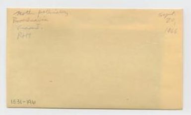 [Boerhavia in Hawaii, envelope IE31-196]