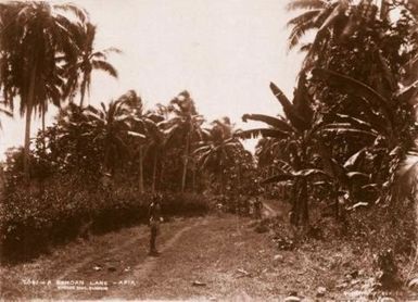 A Samoan Lane, Apia