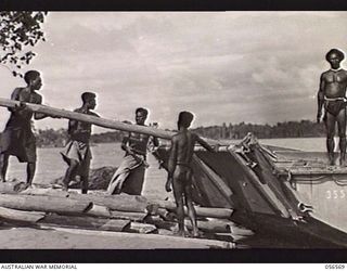 MIRAVASI, NEW GUINEA, 1943-09-07. NATIVES LOADING LOGS ONTO A RIVER BARGE OF THE 2/4TH AUSTRALIAN FIELD SQUADRON, ROYAL AUSTRALIAN ENGINEERS