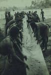 Suki canoe, Lake Murray, [Papua New Guinea], 1952