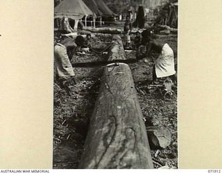 LAE, NEW GUINEA. 1944-03-30. NEW GUINEA NATIVES CUTTING KWIELA LOGS FOR EASIER HANDLING WHEN SLICED INTO LENGTHS BY THE SAWMILL AT THE 59TH CORPS FIELD PARK COMPANY