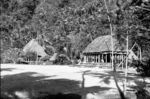 Houses around central malae, Fagaloa Bay