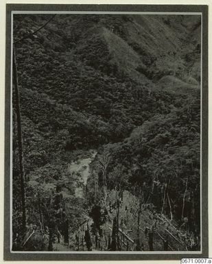 ["dal, fotografi, photograph"]