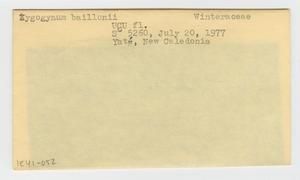 [Zygogynum baillonii in New Caledonia, envelope IE41-052]