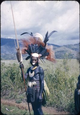 Warrior in full ceremonial dress with ceremonial spear : Wahgi Valley, Papua New Guinea, 1954 / Terence and Margaret Spencer