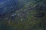 Aerial view of an out-station in the Western Highlands, May 1963