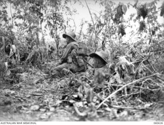 SATTELBERG AREA, NEW GUINEA. 1943-11-18. WARRANT OFFICER R. P. LOVEDAY (LEFT) AND NX8930 PRIVATE A. D. PATTERSON (RIGHT) BOTH OF A COMPANY, 2/48TH AUSTRALIAN INFANTRY BATTALION ADVANCING ALONG A ..