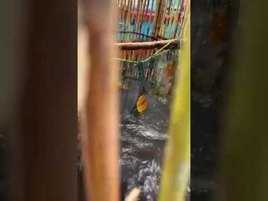 PART 14 - WHEN MANY FISHES WERE FINALLY CAUGHT- Because Fish traps have numerous rooms or sections,