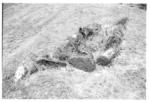 AIT 10 - stone cist, 01