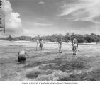 Scientists wading in reef around Namu Island to net poisoned fish, 1947