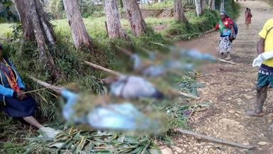 Sixteen massacred in tribal violence in PNG