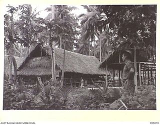 GAZELLE, NEW BRITAIN. 1945-11-23. JAPANESE TROOPS CONSTRUCTED A PRISONER OF WAR CAMP UNDER THE SUPERVISION OF 13 FIELD COMPANY. SERGEANT J.E. GREENE SHOWN INSPECTING THE SLEEPING QUARTERS