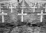 Rows of crosses at Bougainville Cemetery, 1940s