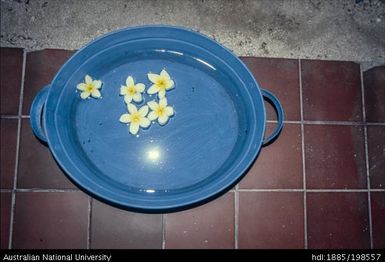 Fiji - blue bowl with white and yellow flowers