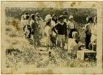 Art students in a field of wild grass, Melville Haysom facing camera at centre, North Stradbroke Island, 1949