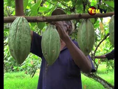 COFFEE PRODUCTION
