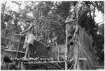 Tying coconut to feasting platform