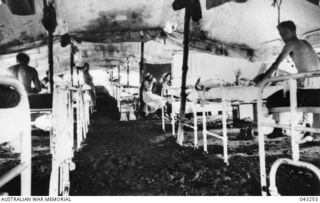 A TENTED WARD OF THE 2/9 AUSTRALIAN GENERAL HOSPITAL, PORT MORESBY, 1943. PHOTOGRAPH PUBLISHED IN AUSTRALIA IN THE WAR OF 1939-45, MEDICAL, VOL 4, MEDICAL SERVICES OF THE RAN AND RAAF, PAGE 447