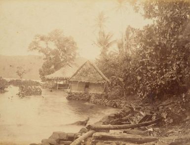 Pohnpei. From the album: Views in the Pacific Islands