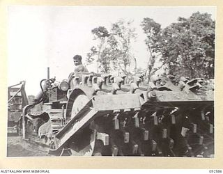 BOUGAINVILLE. 1945-05-26. SAPPER R.J. DOMINGUEZ, 58 FIELD PARK, ROYAL AUSTRALIAN ENGINEERS, DRIVING A TRACTOR TOWING A SHEEPSFOOT ROLLER DURING THE CONSTRUCTION OF THE 3-TONNER ROAD BETWEEN THE ..