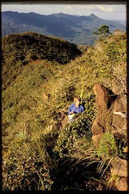 Team member in shrubland