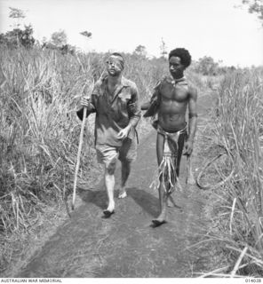 BUNA, PAPUA, 25 DECEMBER 1942. QX23902 PRIVATE GEORGE C. "DICK" WHITTINGTON BEING HELPED ALONG A TRACK THROUGH THE KUNAI GRASS TOWARDS A FIELD HOSPITAL AT DOBODURA. THE PAPUAN NATIVE HELPING HIM IS ..