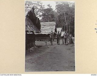 NANTAMBU, NEW BRITAIN, 1945-06. CAPT J. DUNBAR-REID, ASSISTANT DISTRICT OFFICER, NEW BRITAIN (1), LT MACGREGOR DOWSETT, ANGAU (2) AND LT R. WHITTAKER, STAFF CAPTAIN 4 BRIGADE (3), WALKING PAST A ..