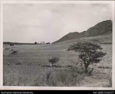 Baghelu's farm, Wailoko District, Esivo Sector