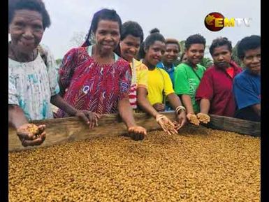 Coffee Export out of Wewak