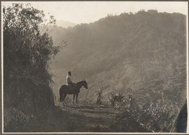 [Horse and rider on a ] track, Ononge, Papua New Guinea