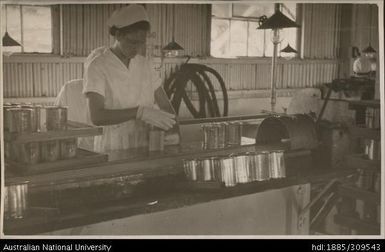 Canning line, Pineapple Cannery