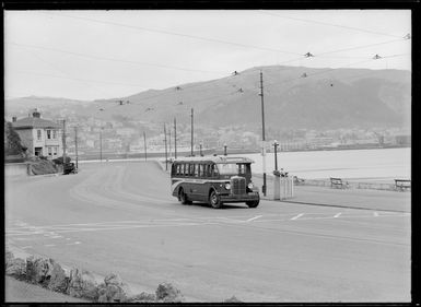 Wellington buses, Oriental Bay