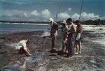 Scientists examine tide pools on Bikini