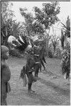 Pig festival, singsing, Kwiop: boys participate in the dancing