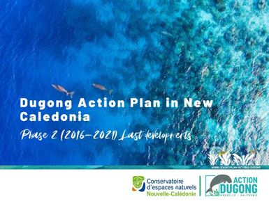 Dugong action plan in New Caledonia phase 2 2016-2021 last developments