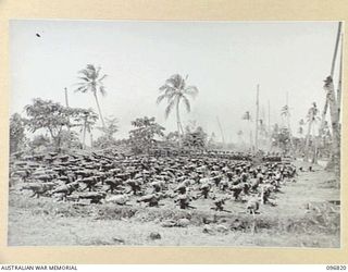 KOKOPO AREA, NEW BRITAIN. 1945-09-16. JAPANESE LIGHT MACHINE GUNS AT A DUMP ON THE BEACH NEAR KOKOPO