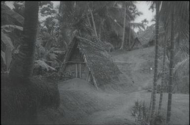 Houses (3) : Maprik, Papua New Guinea,1959 / Terence and Margaret Spencer