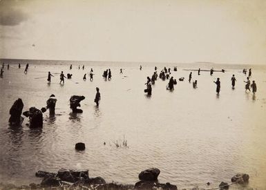 Fishing - Tide going out