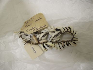 String of cowrie shells