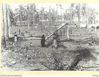 ALEXISHAFEN, NEW GUINEA. 1944-05-26. NATIVES AT WORK CLEARING AND PREPARING AN AREA FOR THE CAMP SITE OF HEADQUARTERS 8TH INFANTRY BRIGADE