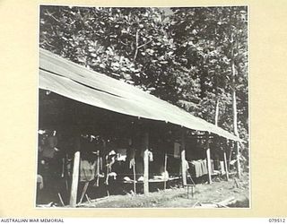 KAMKAMBUN, NEW GUINEA. 1943-10. ONE OF THE WARDS SET UP BY THE LAE CASUALTY CLEARING STATION, 10TH FIELD AMBULANCE AND THE 106TH CASUALTY CLEARING STATION