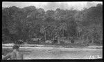 Distant view of village by the shore