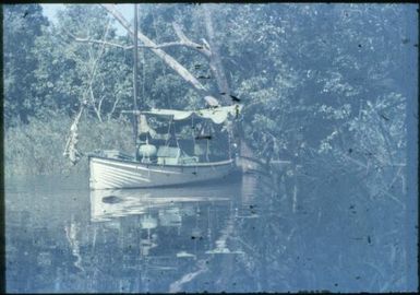 Lisu up a creek (literally, for shelter) : Goodenough Island, D'Entrecasteaux Islands, Papua New Guinea, 1956-1958 / Terence and Margaret Spencer