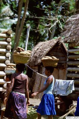 ["fotografi, photograph"]