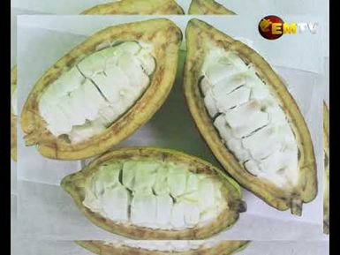 Tabar Chocolate