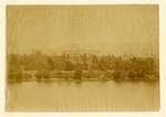 Queensland Parliament House as seen from the Brisbane River, Brisbane, c1880