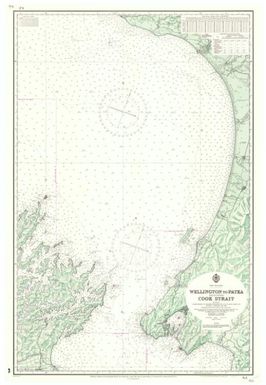 [New Zealand hydrographic charts]: New Zealand. Wellington to Patea including Cook Strait. (Sheet 46)